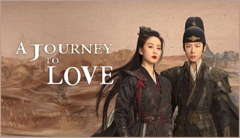 A Journey Of Love, Support, And Creative Endeavors